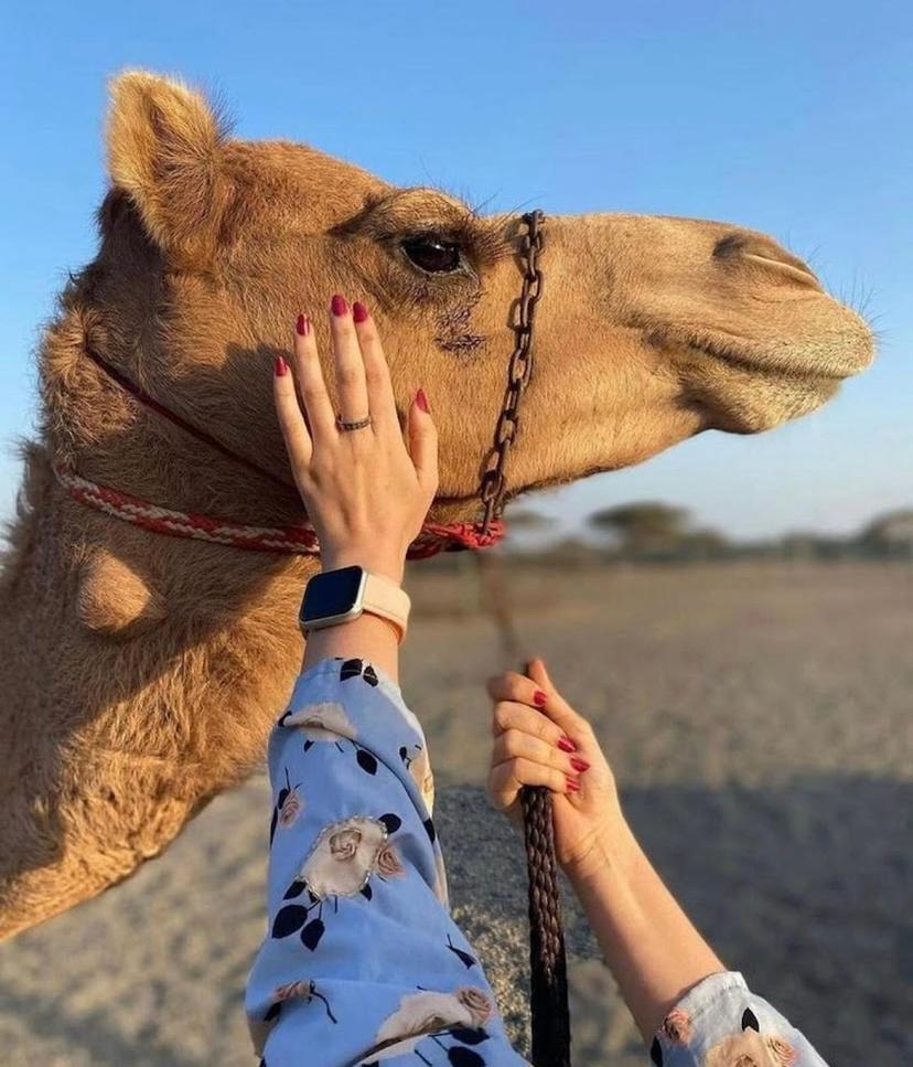 Best Desert Camp In Jaisalmer Red Velvet Екстер'єр фото
